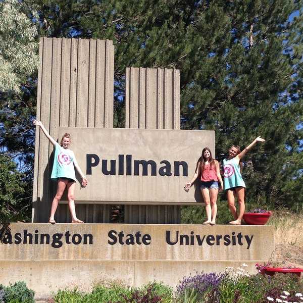 What I've learned My First Year As A Coug