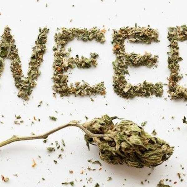 6 Reasons Why We Love It: College Kids & Weed