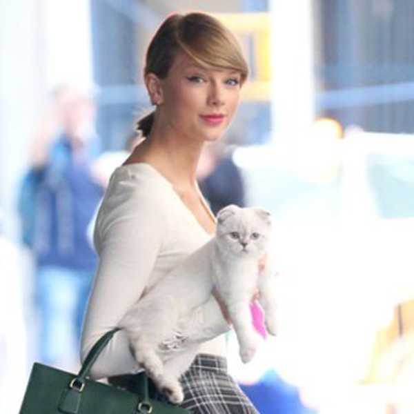10 Reasons Why Taylor Swift's Cats Are Living The Dream