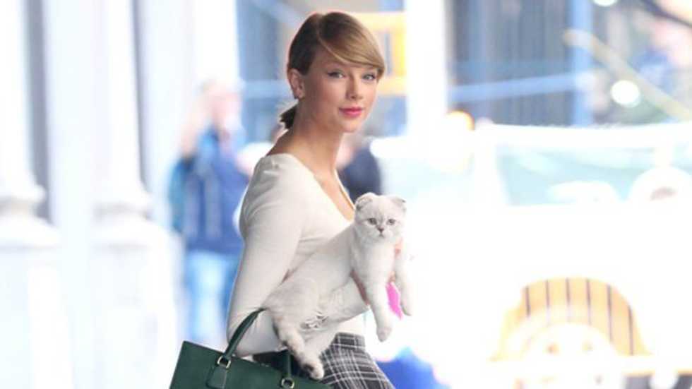 10 Reasons Why Taylor Swift's Cats Are Living The Dream