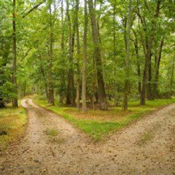 Is It Possible To Live A Life That Operates On Pure Intuition?