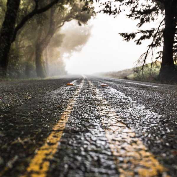 The Road Of Love We All Travel Down