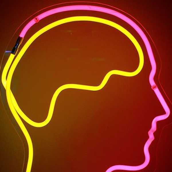 Learning (Dis)Abilities