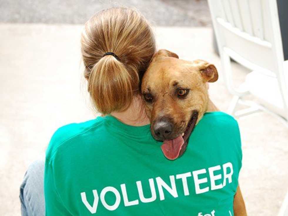 Five Things You Know to Be True When You Volunteer at an Animal Shelter