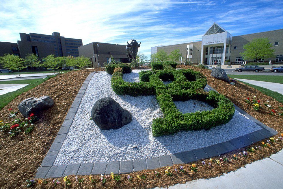 12 Ways You Know You Go To University At Buffalo