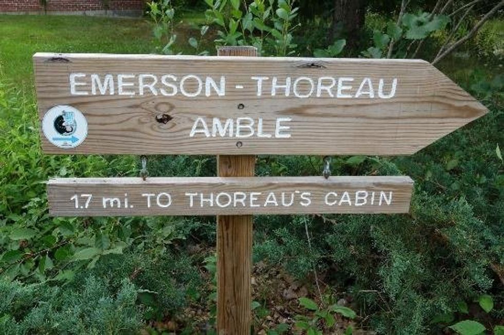 Thoreau & Walden: an Enviro-Bromance for the History Books