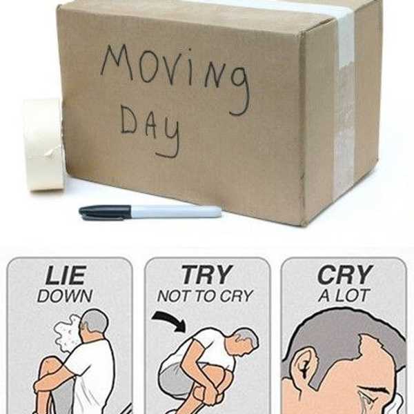 10 Reasons Why Moving Really Sucks