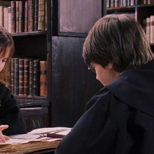 Final Week As Told By Harry Potter