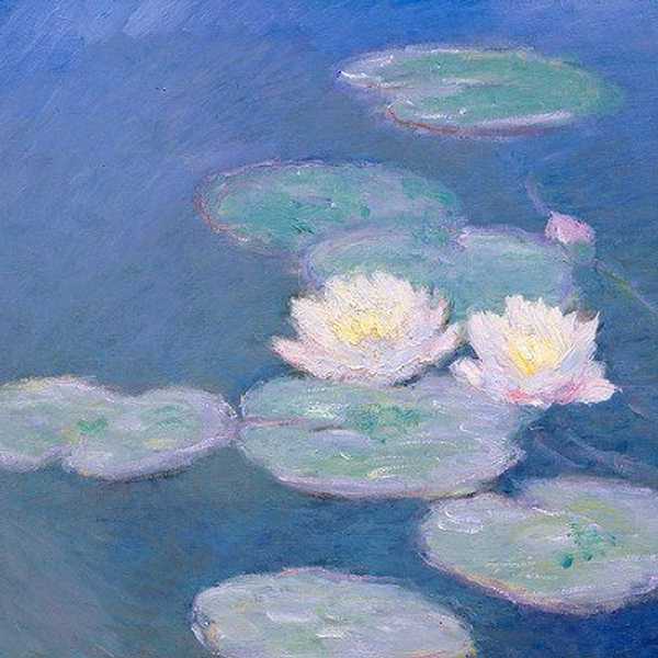 The 'Water Lilies' Effect