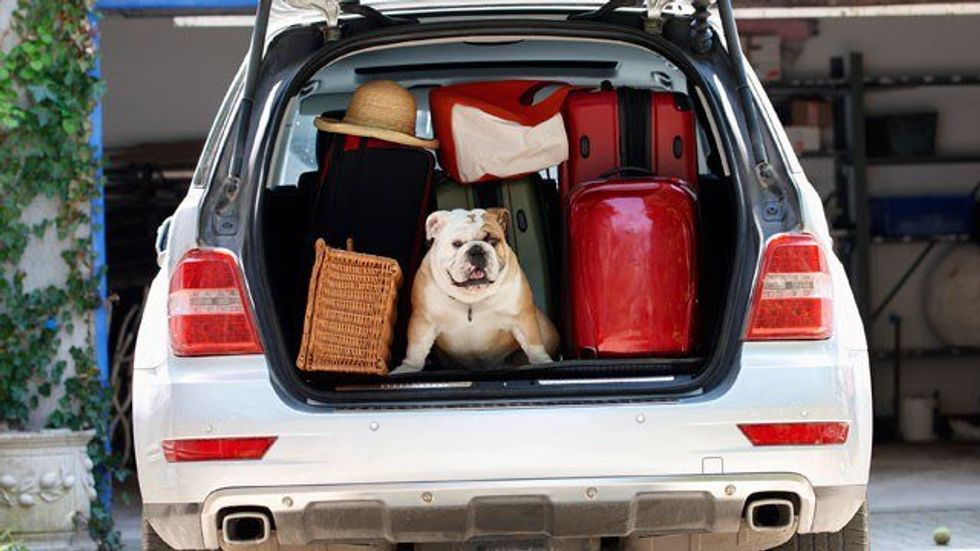 College Tips For First-Year Students