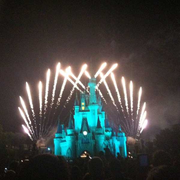 What Working At Walt Disney World Taught Me