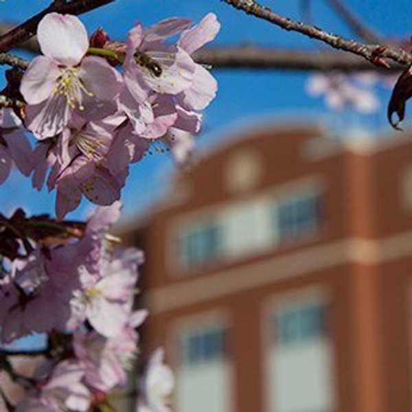 What To Still Look Forward To At Binghamton This Semester
