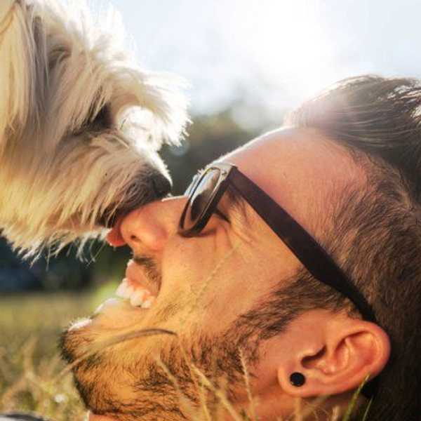 The 5 Best Things About Having A Pet