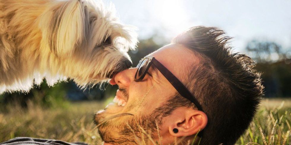 The 5 Best Things About Having A Pet