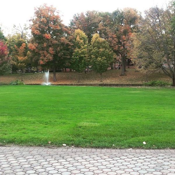 42 Things College Has Taught Me