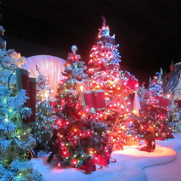 Top 8 Culture Shocks When I First Arrived In The States