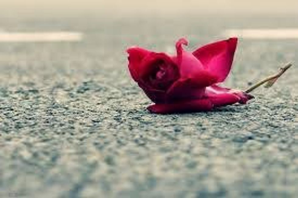 A Thank You Letter to the Boy Who Left