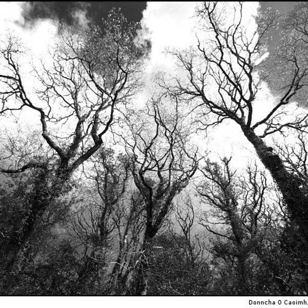 5 Creepypastas To Read Alone In The Dark