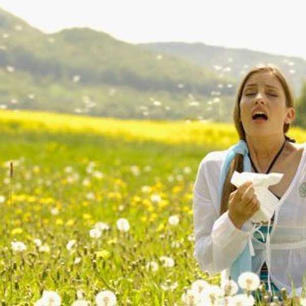 15 Things Allergy Sufferers Understand