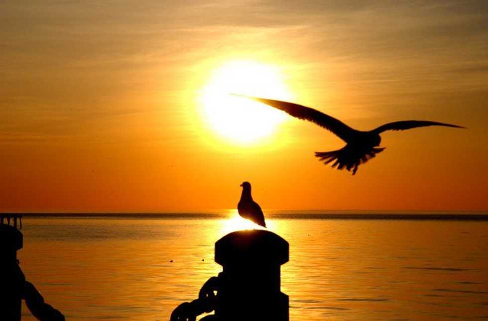 Live In The Moment