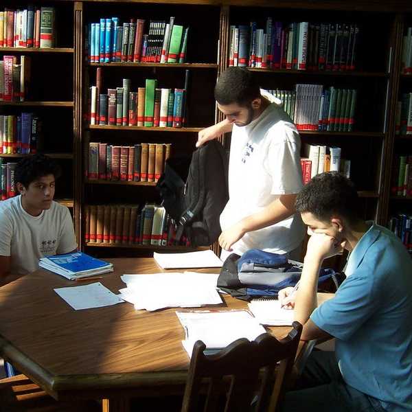 18 GIFS And Experiences That Sum Up The Life Of A History Major