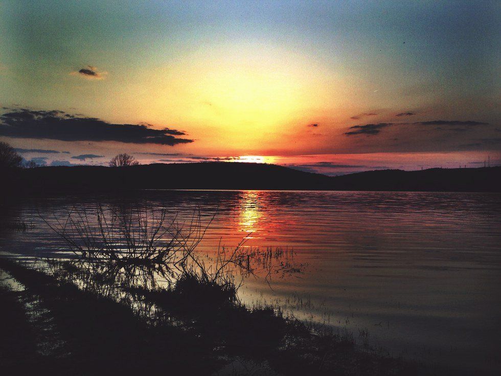 I Don't Want A Life Of Mini Vans And White Picket Fences