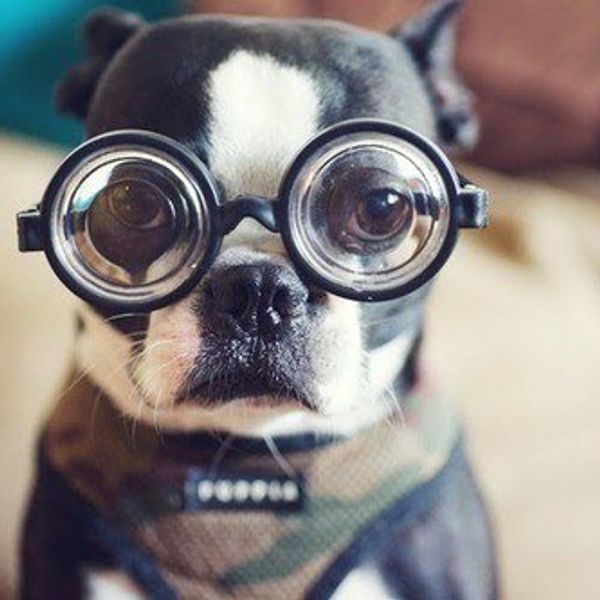 Things Only People Who Wear Glasses Will Understand