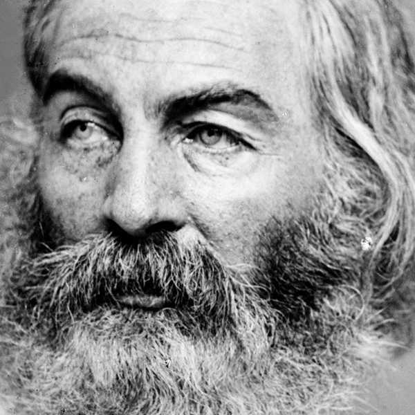 24 Quotes Written By Walt Whitman