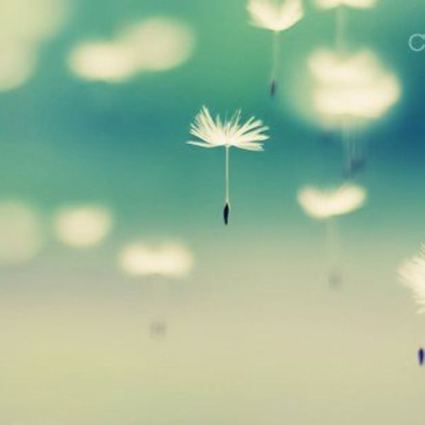 You Really Don't Know What You Have Until It's Gone