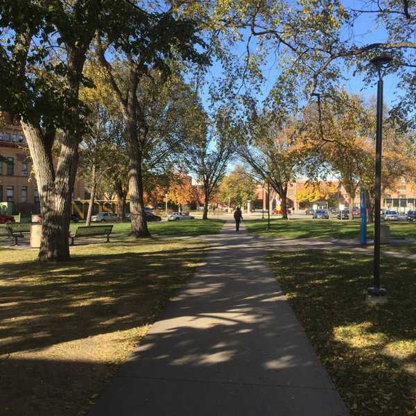 Insights I Learned My Freshman Year Of College