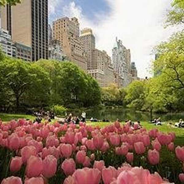New York In the Spring— Five Places To Visit Before The End Of The Semester