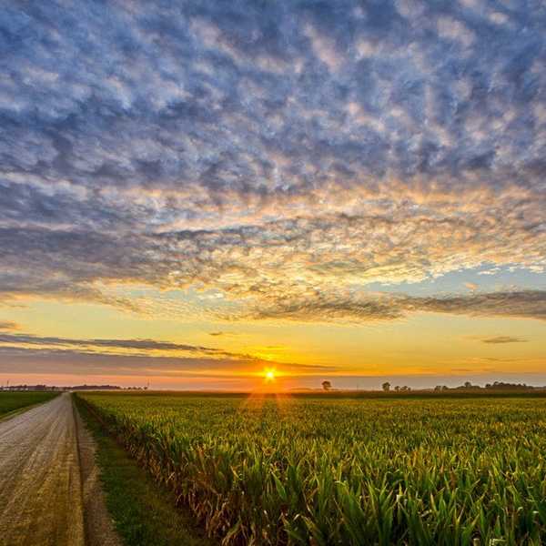 12 Signs You're From Indiana