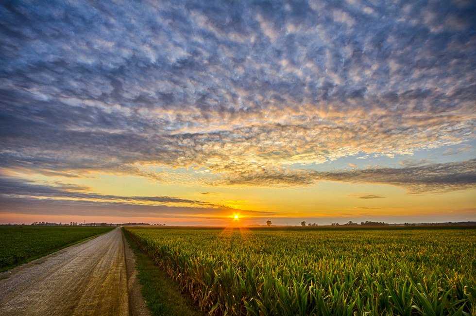 12 Signs You're From Indiana