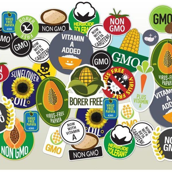GMOs: An Underdog Story