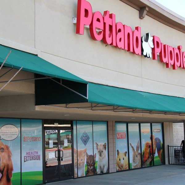 Behind Closed Doors: Exposing Kennesaw's Petland