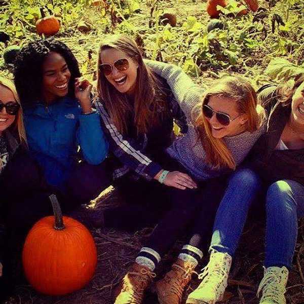 The Reality Of Greek Life