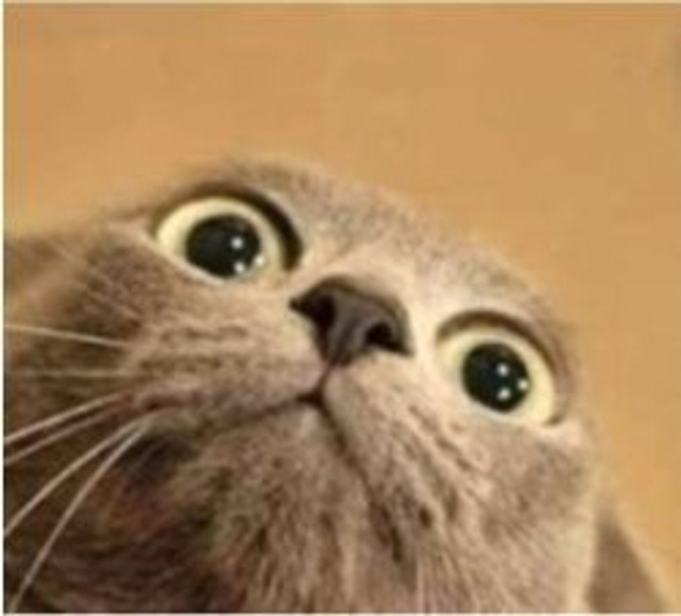 An Open Letter To Anxiety