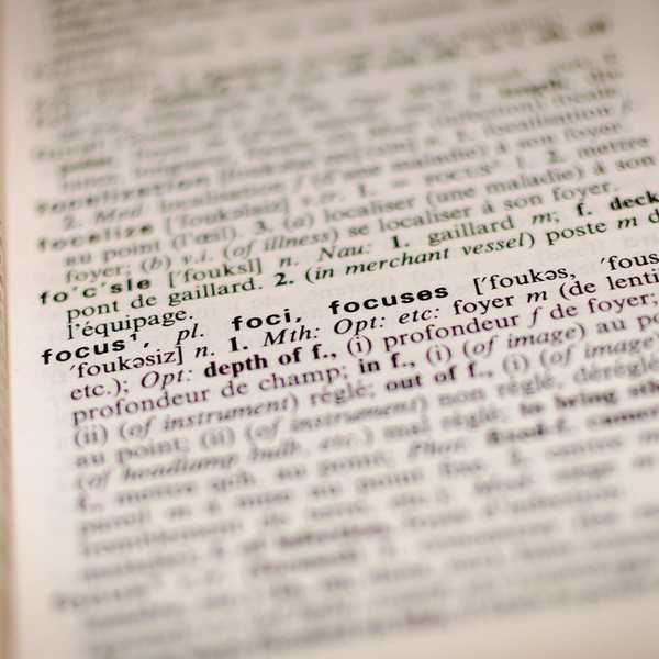 Language And Diversity