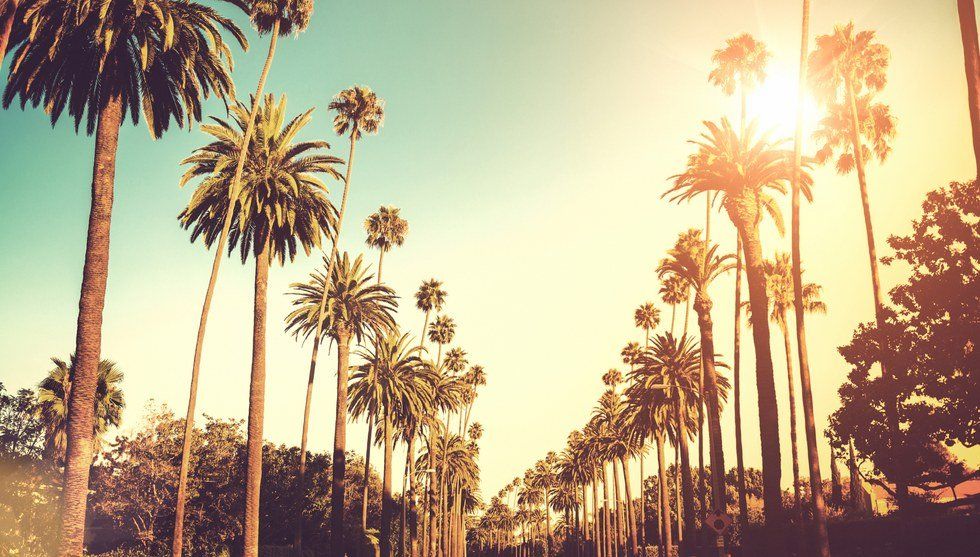 5 Must-Dos When In The City Of Angels
