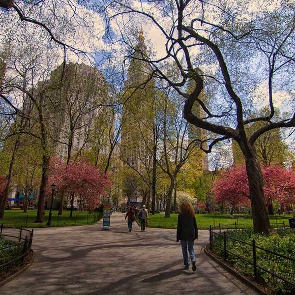 5 Places To Go On Your Next NYC Trip