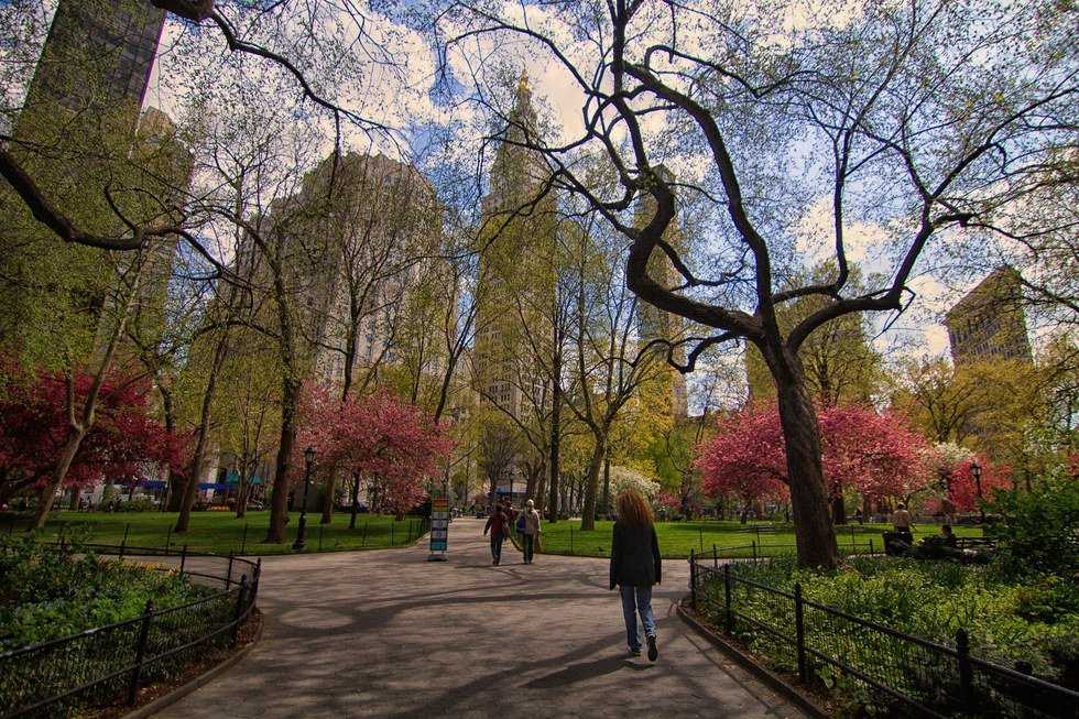 5 Places To Go On Your Next NYC Trip