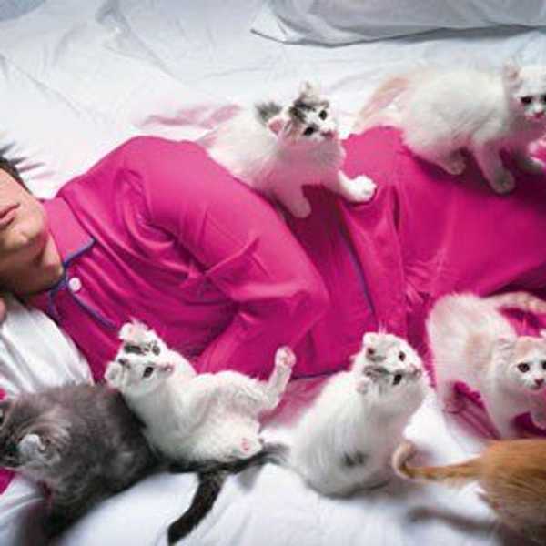 You Know You Are A Cat Person When...