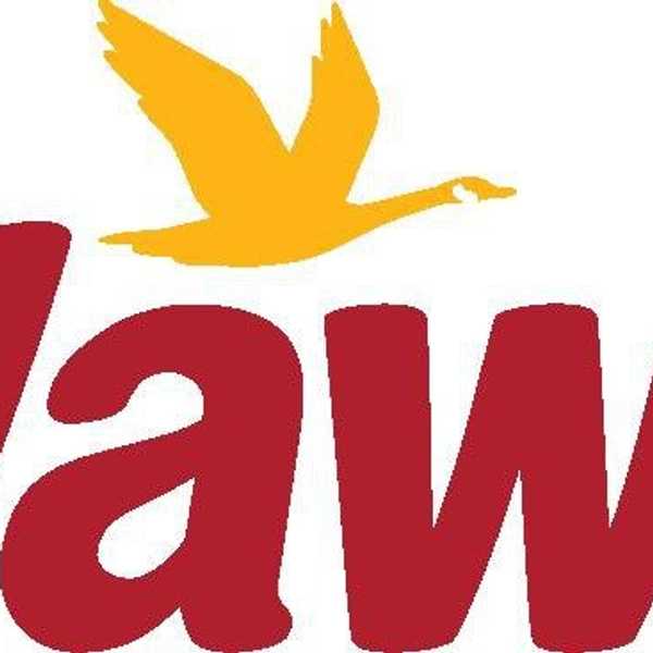 21 Reasons Wawa Is The Best