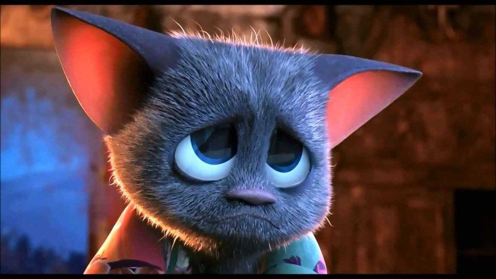 Common Misconceptions About Bats