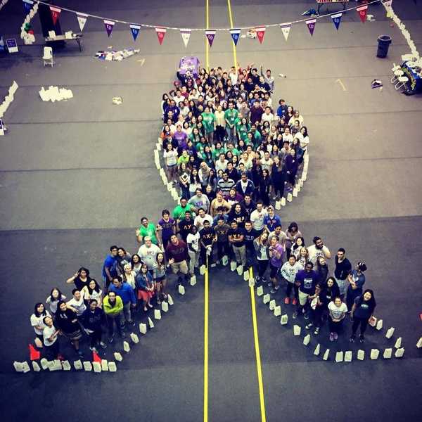11 Reasons to Relay For Life With NYU