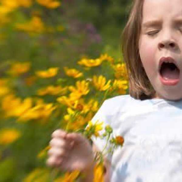 When Allergies Punch You In The Face