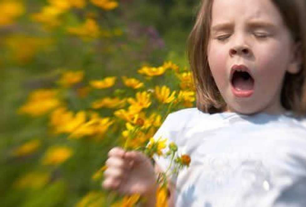When Allergies Punch You In The Face