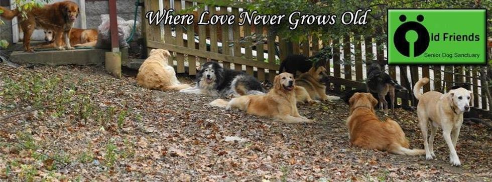 7 Reasons You Need To Follow This Facebook Page