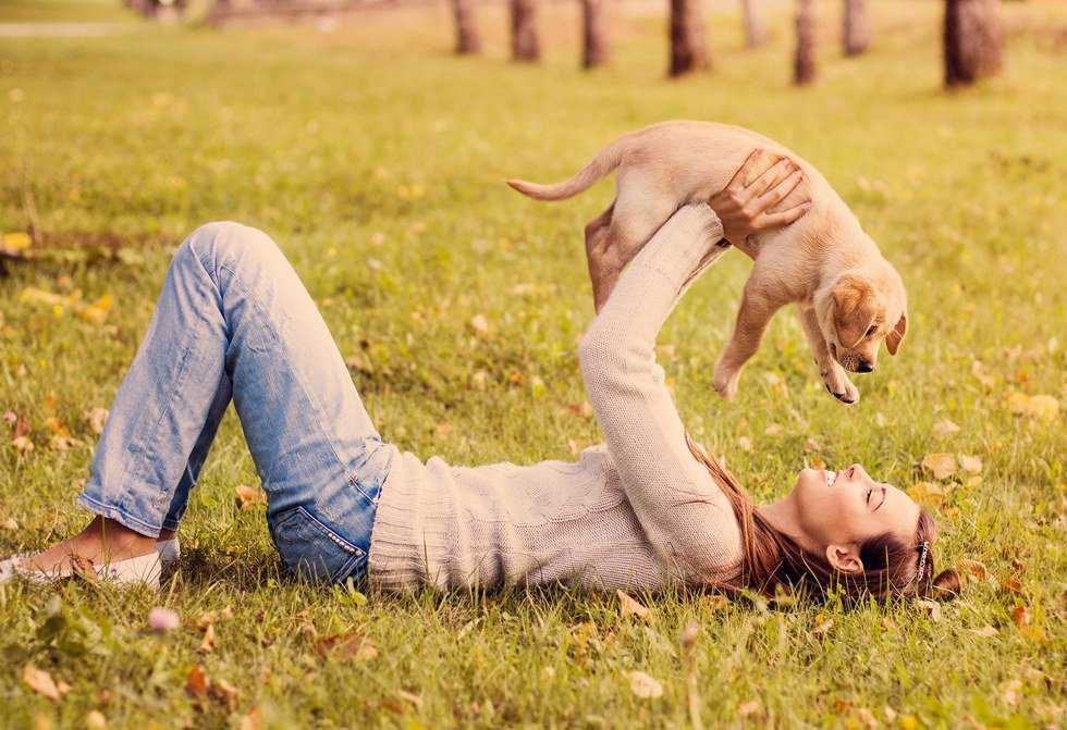 11 Reasons Your Dog Is Basically Your Significant Other