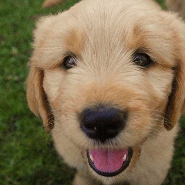 8 Reasons To Smile Today